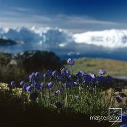 Harry Opstrup/mastershot archive