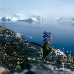 Harry Opstrup/mastershot archive