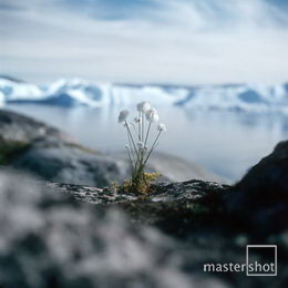 Harry Opstrup/mastershot archive