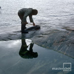 Harry Opstrup/mastershot archive