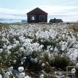 Harry Opstrup/mastershot archive
