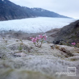 Harry Opstrup/mastershot archive
