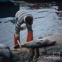 Harry Opstrup/mastershot archive